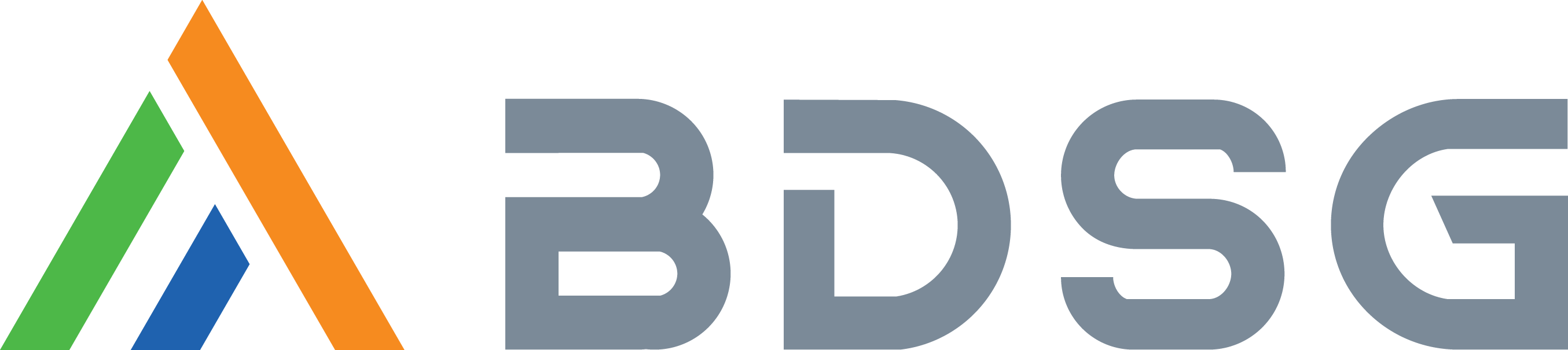 BDSG Homes Logo